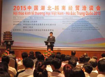 Vietnam - Hubei (Chine) : renforcer les relations économiques et commerciales ảnh 1
