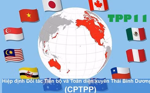 Pour profiter pleinement des retombées du CPTTP ảnh 1
