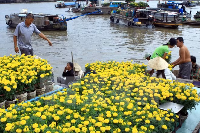 Têt 2018 : fêtes des fleurs à Hô Chi Minh-Ville ảnh 1 Têt 2018 : fêtes des fleurs à Hô Chi Minh-Ville ảnh 1