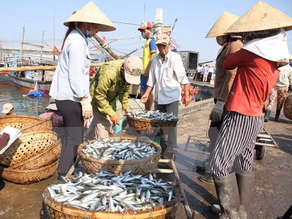 Formosa : achèvement fondamental de l’indemnisation des habitants sinistrés ảnh 2