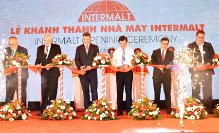 Interflour: mise en service d'une usine de 120 millions de dollars à Ba Ria-Vung Tau ảnh 1