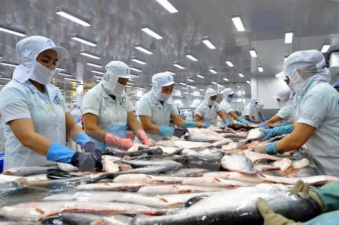 Les Etats-Unis promettent de ne pas entraver les ventes de pangas vietnamiens ảnh 1