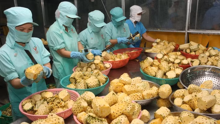Exportations de produits agricoles: le Vietnam au 2e rang en Asie du Sud-Est, 15e dans le monde ảnh 1