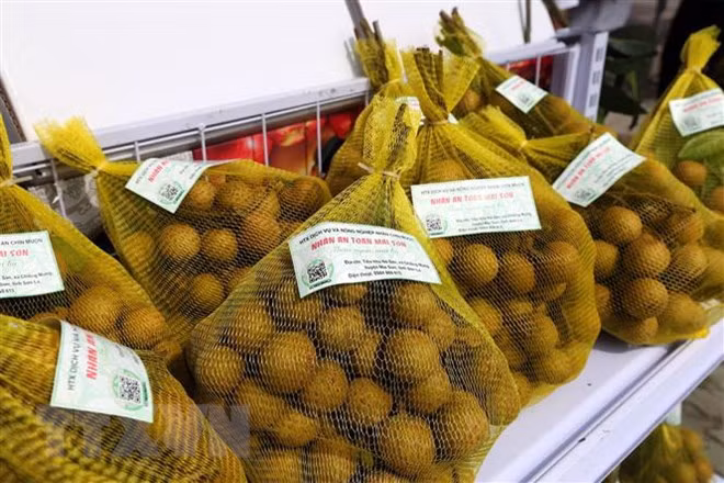 Accélérer la présentation des produits vietnamiens au Mozambique et au Madagascar ảnh 1