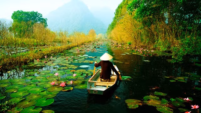 Le Vietnam dans le top 10 destinations en termes de croissance de touristes étrangers ảnh 1
