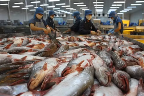 Les infrastructures des zones d’élevage de pangasius sont appréciées par la WWF ảnh 1