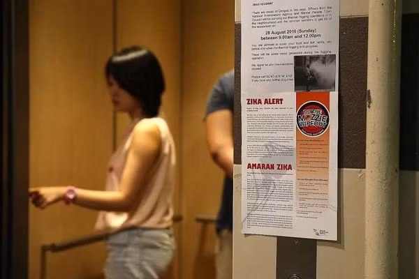 Singapour annonce 40 nouveaux cas d’infection au virus Zika ảnh 1