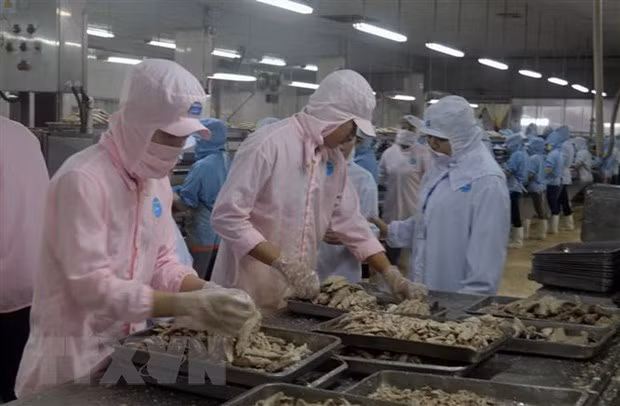 Le Vietnam et les États-Unis s’orientent vers une balance commerciale harmonieuse ảnh 1