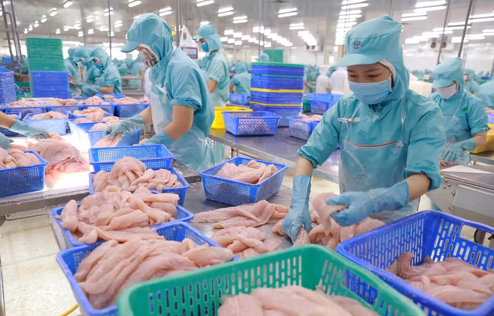 Les exportations de produits aquatiques devraient rapporter 10 milliards de dollars cette année ảnh 1 Les exportations de produits aquatiques devraient rapporter 10 milliards de dollars cette année ảnh 1