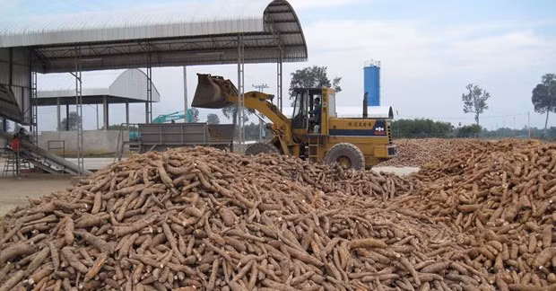 Les exportations agricoles du Laos devraient dépasser les 2 milliards de dollars en 2023 ảnh 1