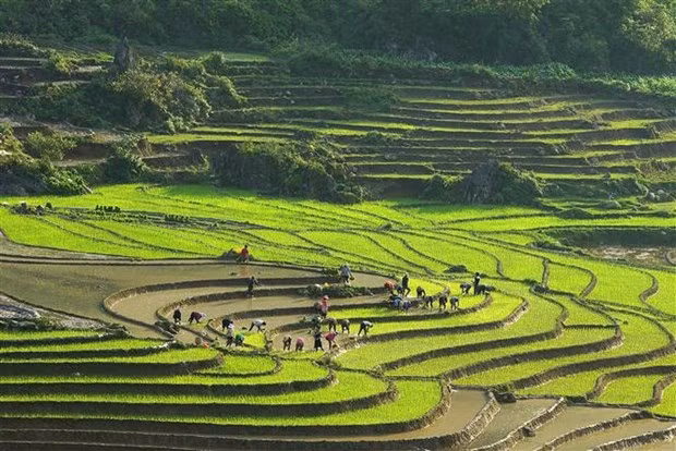 Les localités vietnamiennes et chinoises encouragent la coopération touristique ảnh 1
