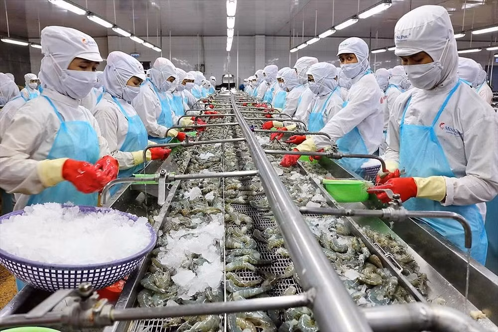 Les exportations montrent des signes de reprise progressive ảnh 2 Les exportations montrent des signes de reprise progressive ảnh 2