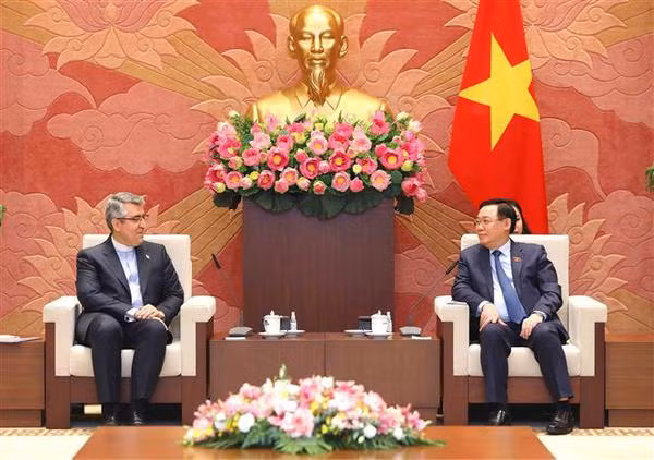 Le président de l’AN du Vietnam reçoit les ambassadeurs d'Indonésie et d'Iran ảnh 2