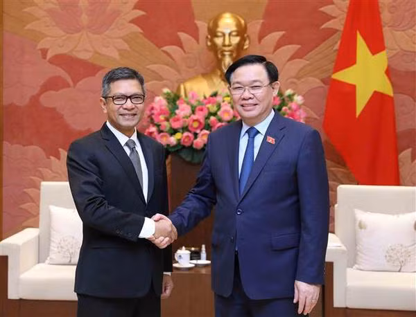 Le président de l’AN du Vietnam reçoit les ambassadeurs d'Indonésie et d'Iran ảnh 1
