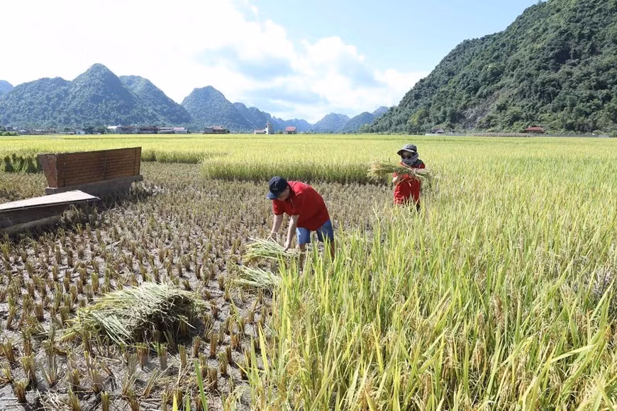 Lang Son développe le tourisme communautaire lié à la réduction de la pauvreté ảnh 3