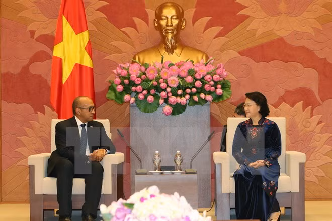 Nguyen Thi Kim Ngan reçoit les ambassadeurs russe, japonais et cubain ảnh 3