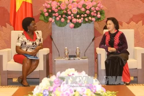 La vice-présidente de l'AN reçoit la directrice de la BM au Vietnam ảnh 1