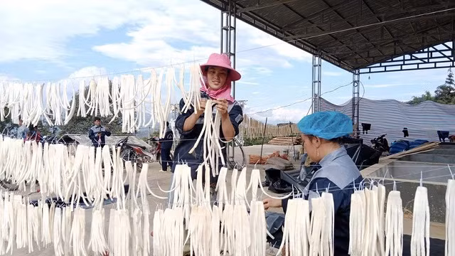Ha Giang exporte le premier conteneur de radis marinés de 2024 au Japon ảnh 1
