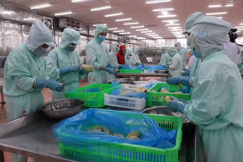 Le Vietnam est la destination prioritaire du Canada dans sa stratégie pour l'Indo-Pacifique ảnh 1