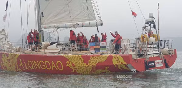 Les premiers voiliers de la Clipper Round the World Race arrivent à Ha Long ảnh 1
