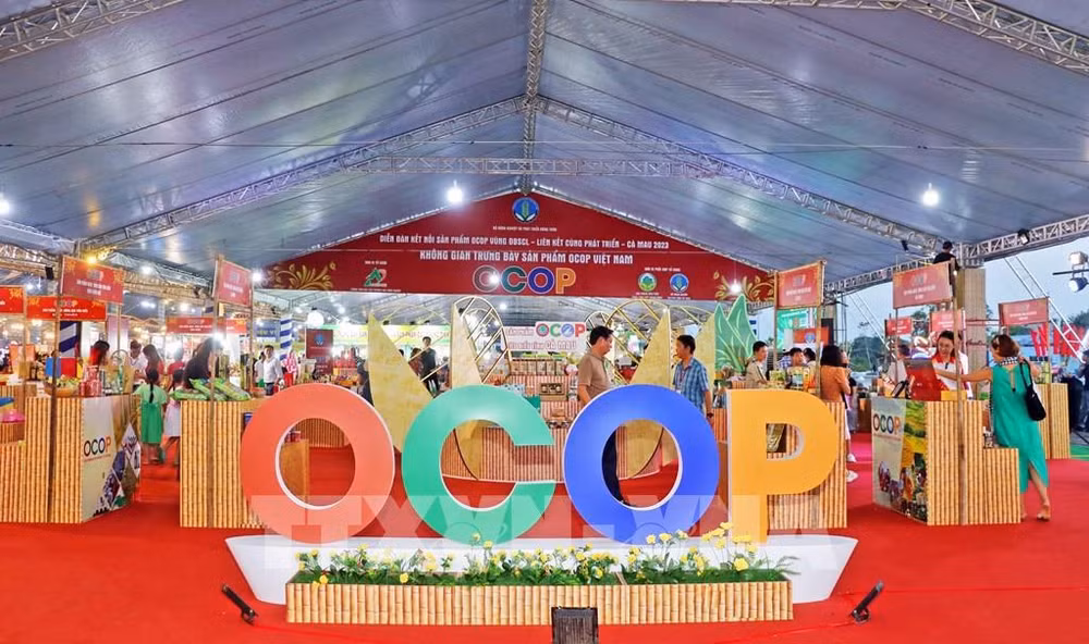 Le programme OCOP contribue au développement de l’agriculture dans le delta du Mékong ảnh 1