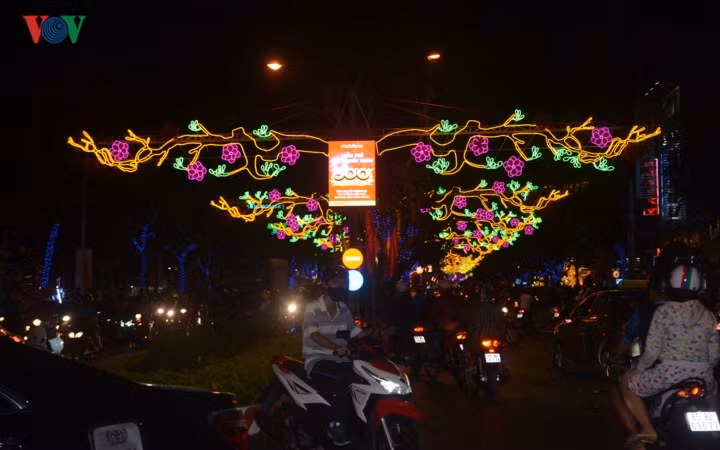 Ouverture de rues florale et lumineuse à Cân Tho ảnh 2