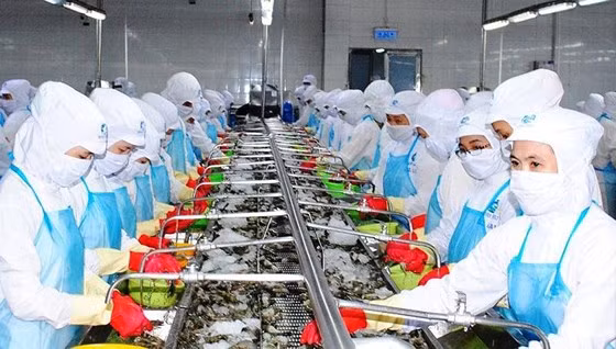 Soc Trang vise un chiffre d’affaires à l’export dépassant le milliard de dollars ảnh 1