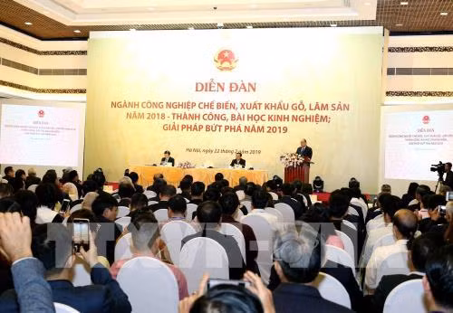 Les exportations du bois et des produits forestiers atteindront 11 milliards de dollars ảnh 1