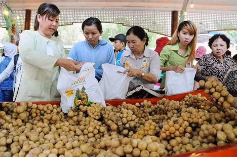 Rendez-vous au 13e Festival des fruits du Sud ảnh 2