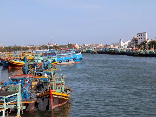 Le Vietnam va durcir les mesures contre la pêche INN ảnh 1