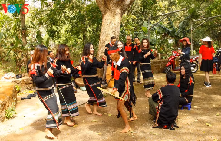 Les jeunes gardiens de la culture Edê ảnh 2