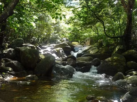 Dans le Nord-Est, au berceau du Zen vietnamien ảnh 2