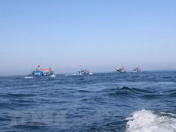 Le Vietnam rejette l’interdiction chinoise de pêche en Mer Orientale ảnh 1