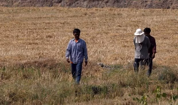 Thaïlande : des pluies artificielles pour lutter contre la sécheresse ảnh 1