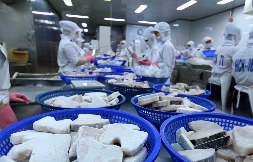 Un expert britannique apprécie l’intégration internationale et les opportunités du Vietnam ảnh 1