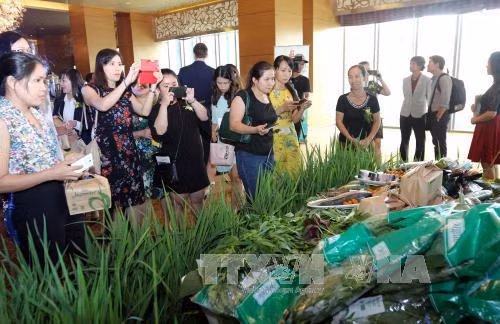 Promouvoir la connexion commerciale entre le Vietnam et la Russie ảnh 1