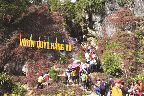  Lang Son ou le royaume des mandarines ảnh 1