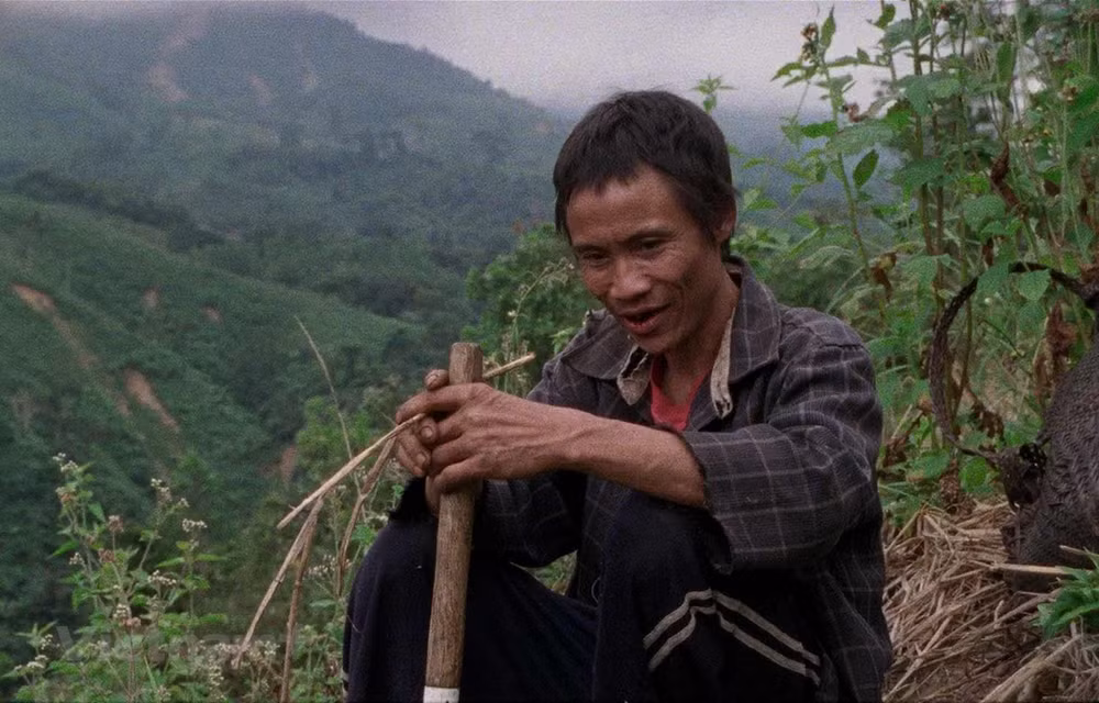 Des films vietnamiens sont présentés au Festival international du film de Singapour ảnh 1