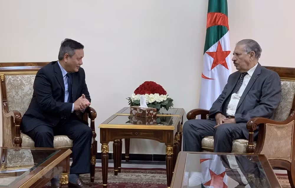 Le président du Conseil de la nation de l’Algérie veut promouvoir la coopération avec le Vietnam ảnh 1