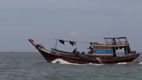 Cân Gio et ses richesses maritimes ảnh 1