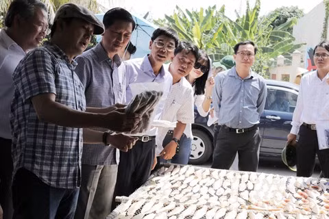 Cân Gio et ses richesses maritimes ảnh 3