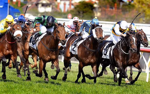 Hanoï compte construire un hippodrome à Soc Son ảnh 1