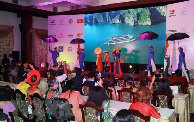 Un festival vise à promouvoir les relations entre le Vietnam et l'Inde ảnh 1