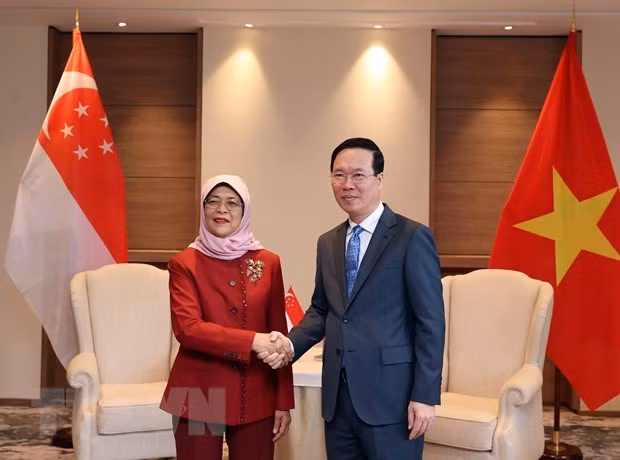 Le Vietnam félicite Singapour pour le double anniversaire des liens ảnh 1