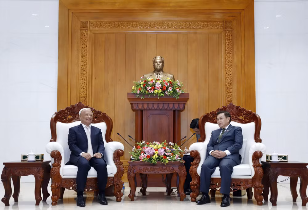 Une délégation du Comité de la paix du Vietnam en visite au Laos ảnh 1