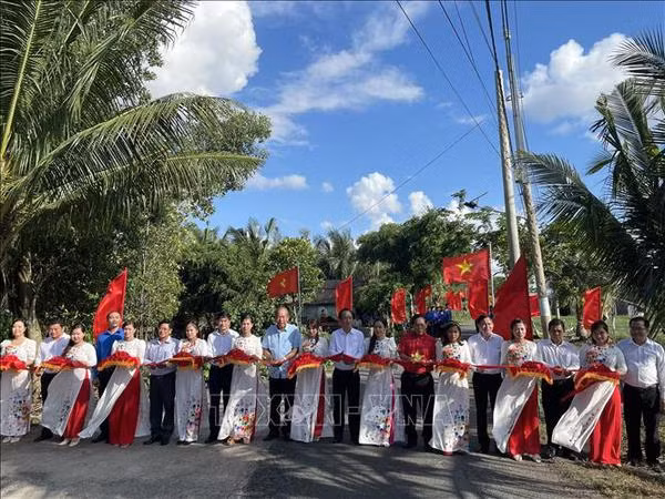 Un projet contribue à accroître le patriotisme parmi la population de Bac Lieu ảnh 1