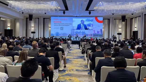 Singapour cherche à renforcer ses liens commerciaux avec l’Afrique ảnh 1