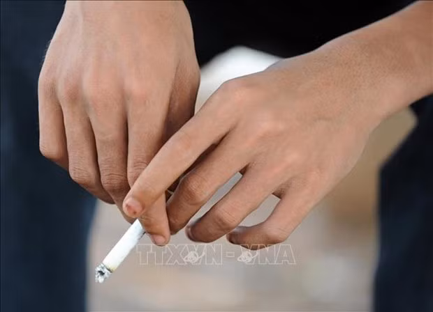 Le Cambodge impose la TVA sur les cigarettes ảnh 1