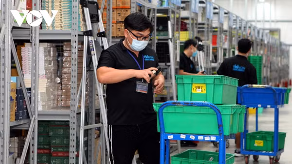 E-commerce : Le développement rapide doit aller de pair avec l’écologisation ảnh 2