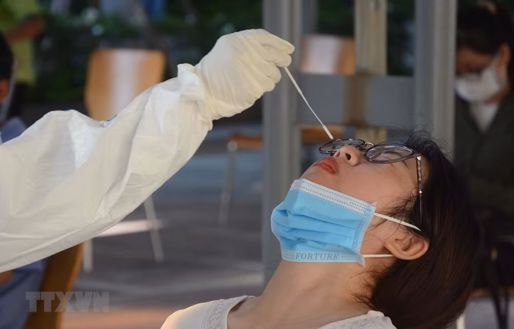 COVID-19 : 90 nouvelles infections au coronavirus confirmées en six heures ảnh 1